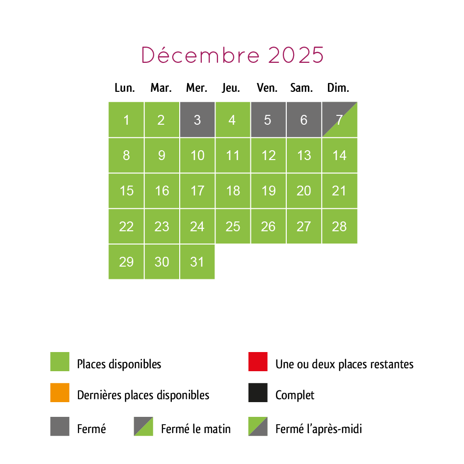 20252026-12