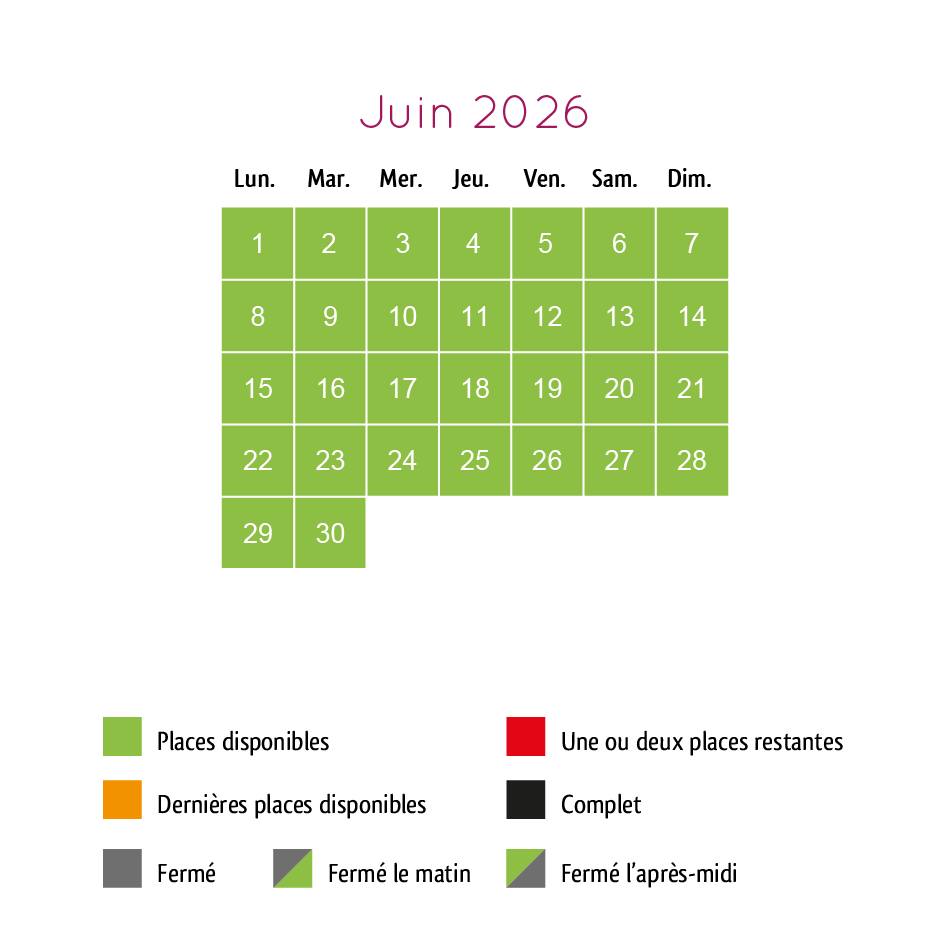 dispo pour siteee-06