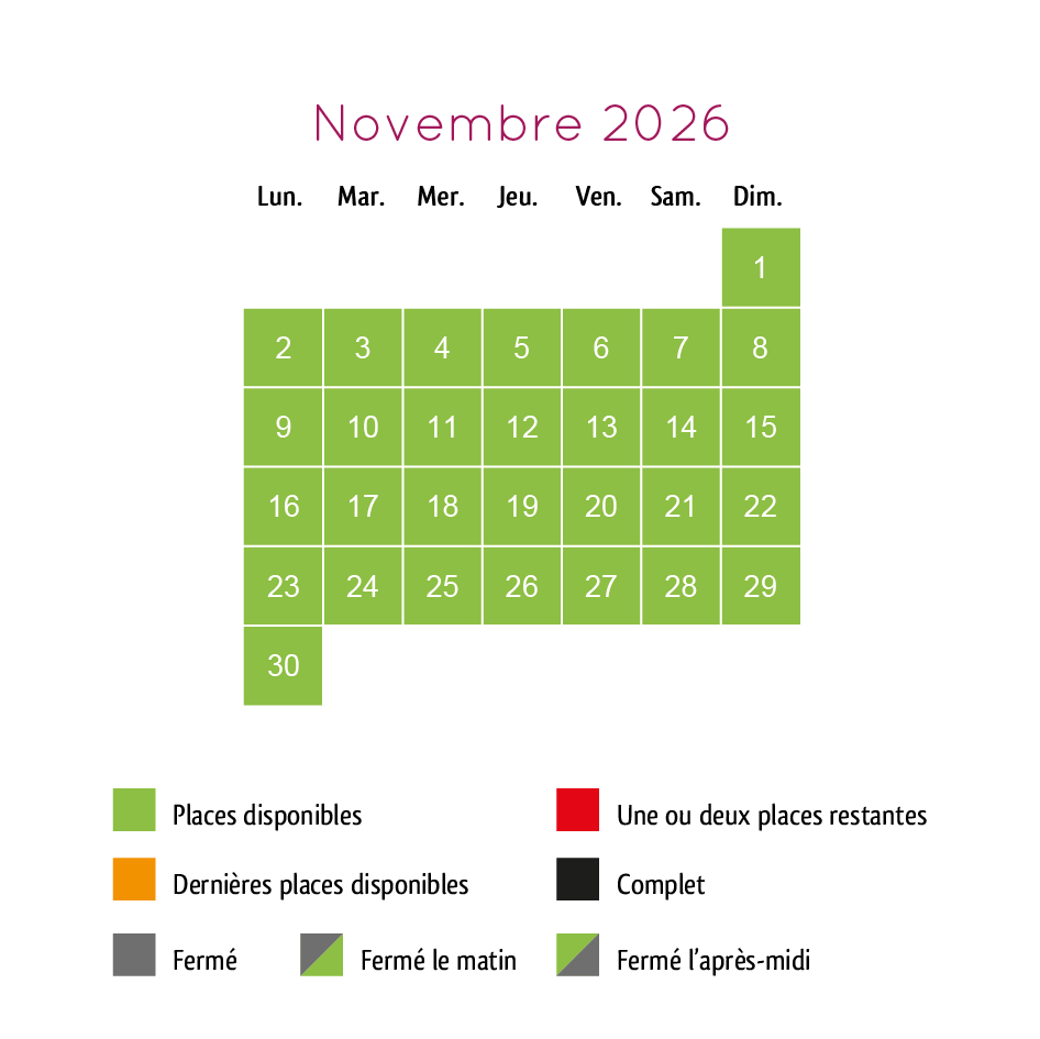 site2026-11